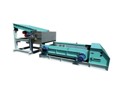 �е�����ѡ��